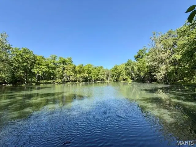 11316 County Road 1062, Shamrock, MO 65264 - #2