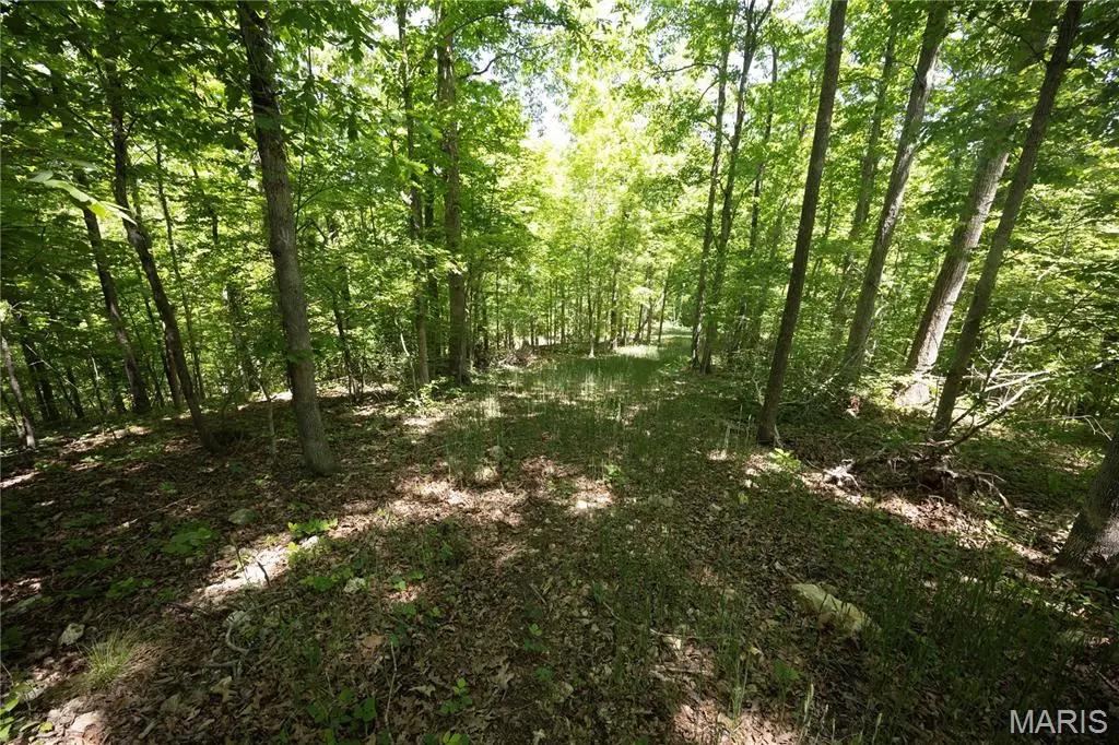 Tract 5 Bcr 930, Patton, MO 63662 - #1