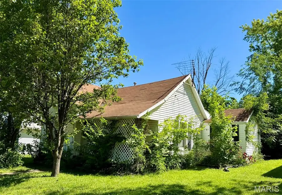 412 Monroe Street, Desloge, MO 63601 - #3