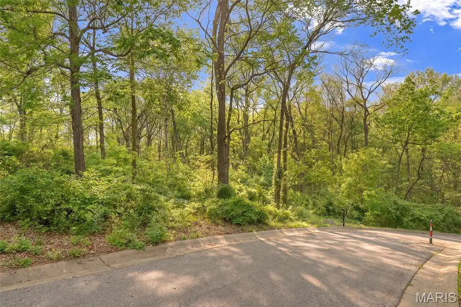 653 Ming Lake Drive, Washington, MO 63090 - #2