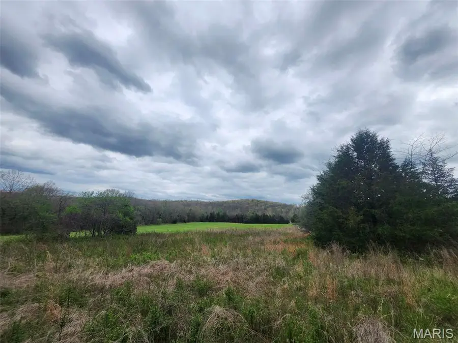 0 M- County Road 14-252, Drury, MO 65638 - #3