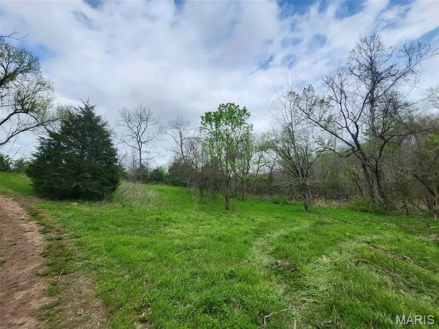0 M- County Road 250-80, Drury, MO 65638 - #2