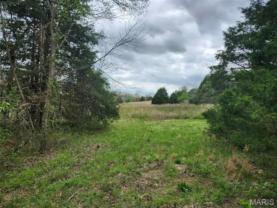 000 M- County Road 250-163, Drury, MO 65638 - #2
