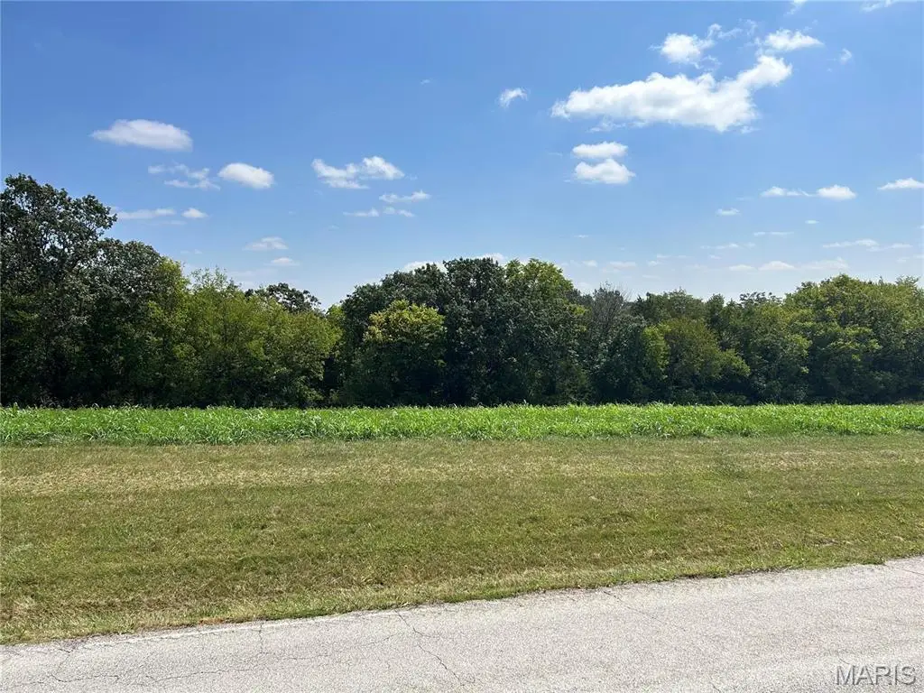 4909 Elder Rd, Villa Ridge, MO 63089 - #1
