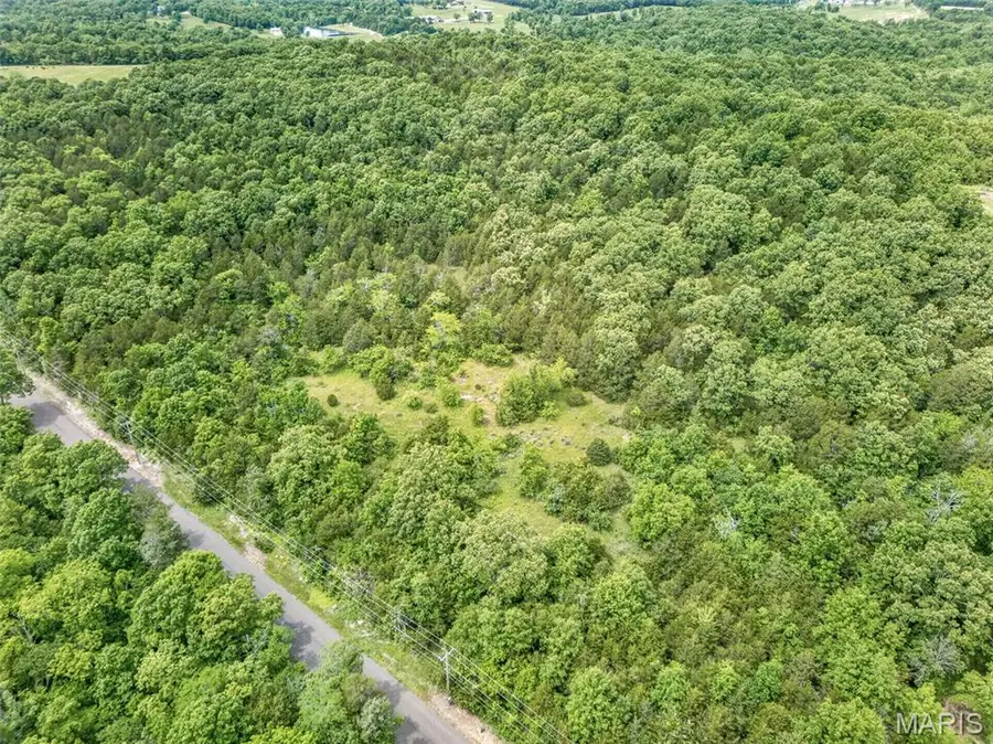 1444 Yellow Rock, De Soto, MO 63020 - #2