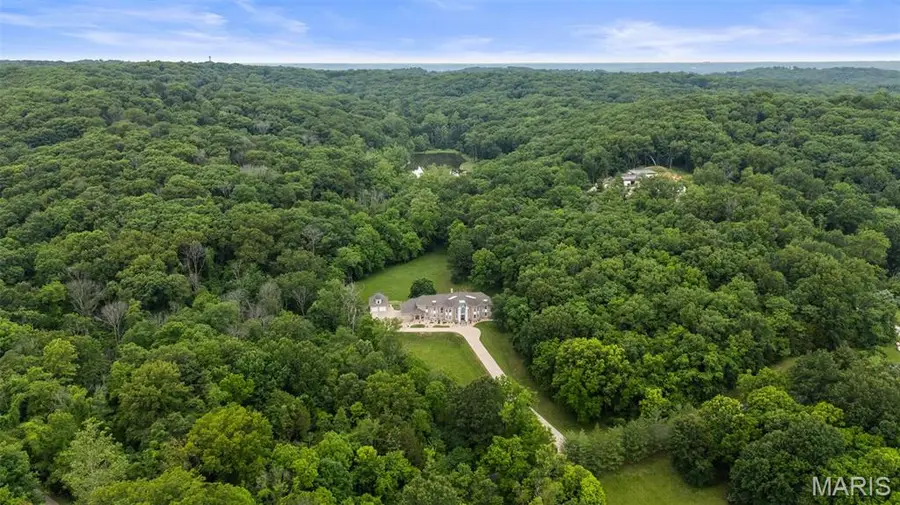 19348 Deer Pointe Estates Drive, Wildwood, MO 63038 - #2