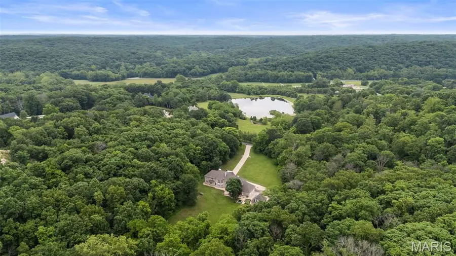 19348 Deer Pointe Estates Drive, Wildwood, MO 63038 - #3
