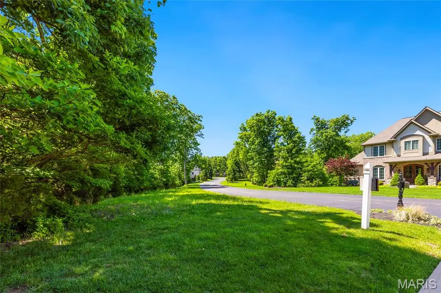 24 Grand Meridien Forest, Wildwood, MO 63005 - #3