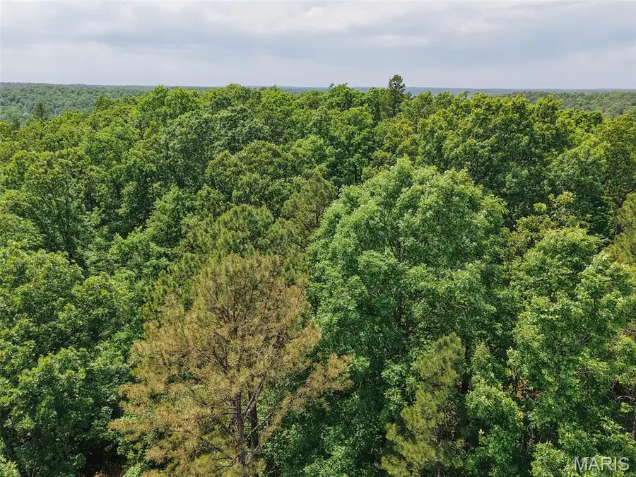 10 State Route T, Richwoods, MO 63071 - #3