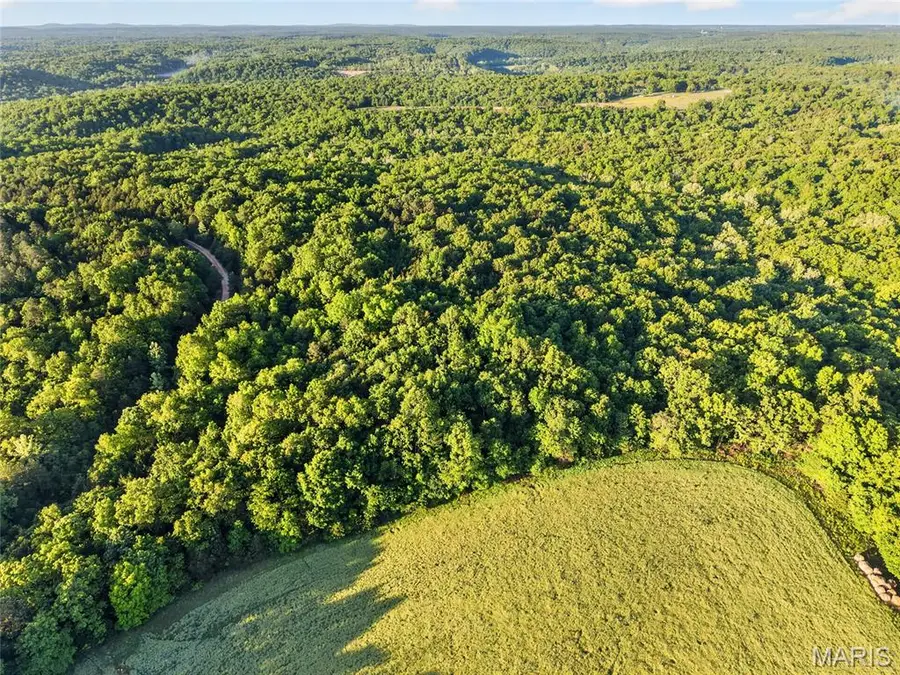 004 Blackwell Heights Road, Blackwell, MO 63626 - #3