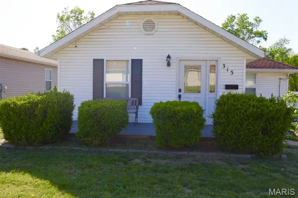 313 S Mill Street, Festus, MO 63028