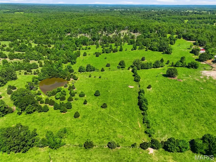 210 County Road 320, Alton, MO 65606 - #2