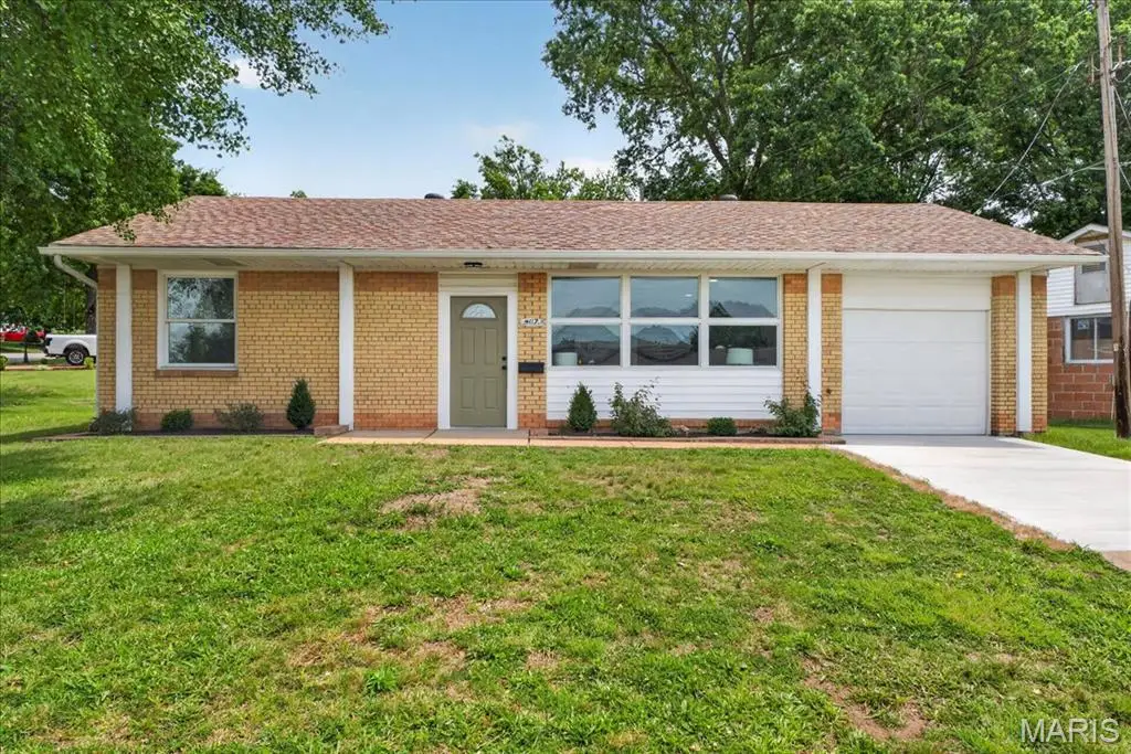4117 Louis Street, Saint Louis, MO 63116 - #1