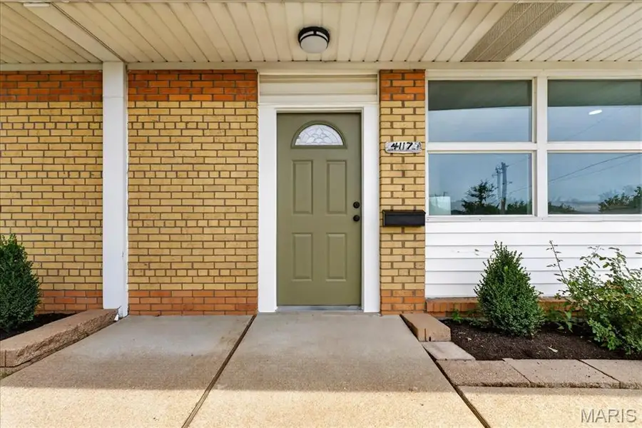 4117 Louis Street, Saint Louis, MO 63116 - #2