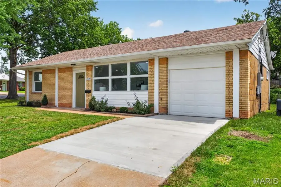 4117 Louis Street, Saint Louis, MO 63116 - #3