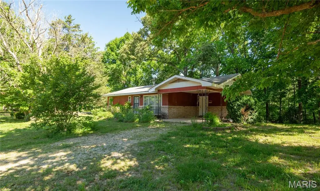 71 Silver Carp Lane, Doniphan, MO 63935 - #1