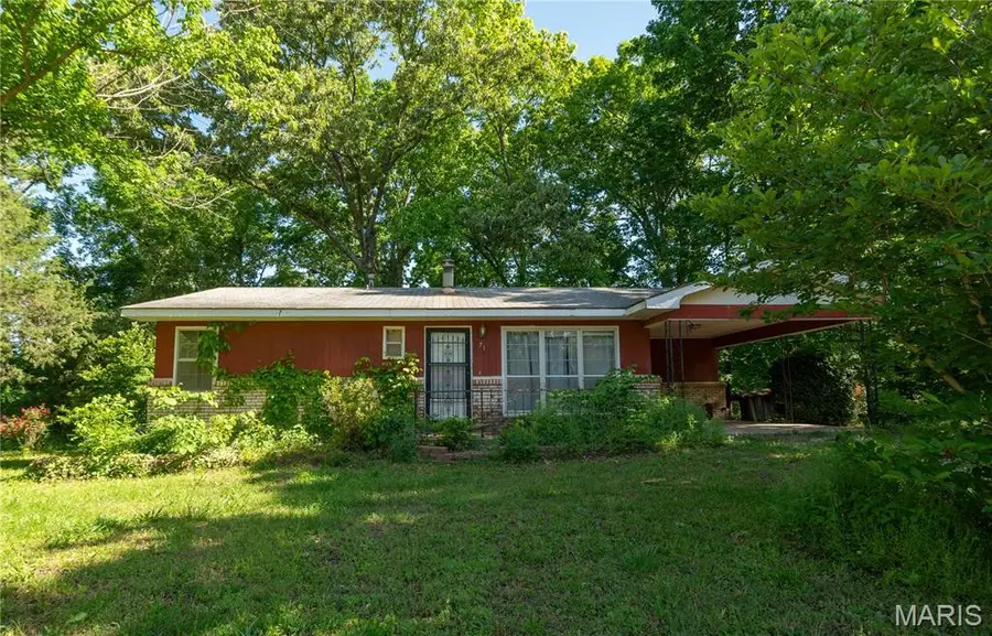 71 Silver Carp Lane, Doniphan, MO 63935 - #2