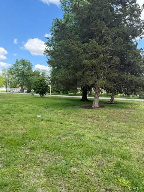 561 S Main Street, New Douglas, IL 62074 - #3