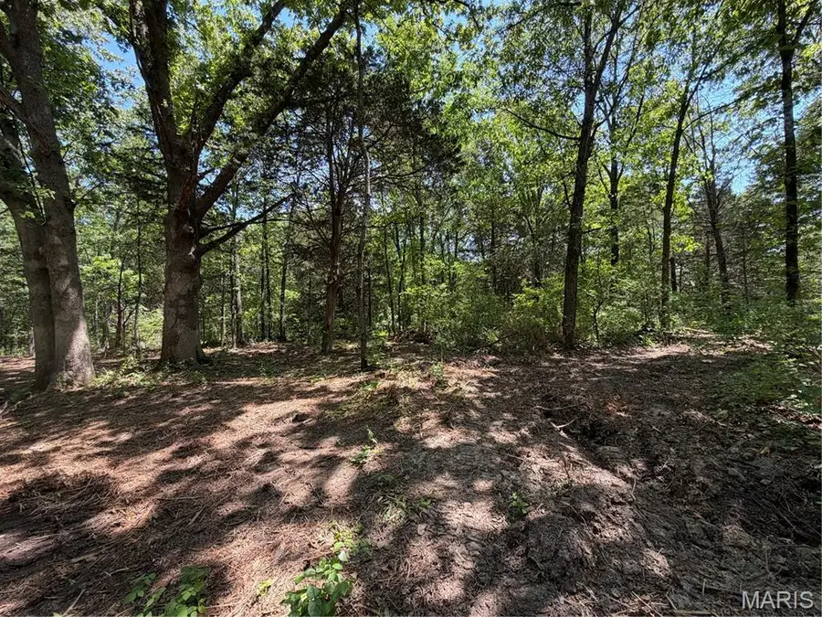 2.61 Acres Buckner Rd., Wentzville, MO 63385 - #3
