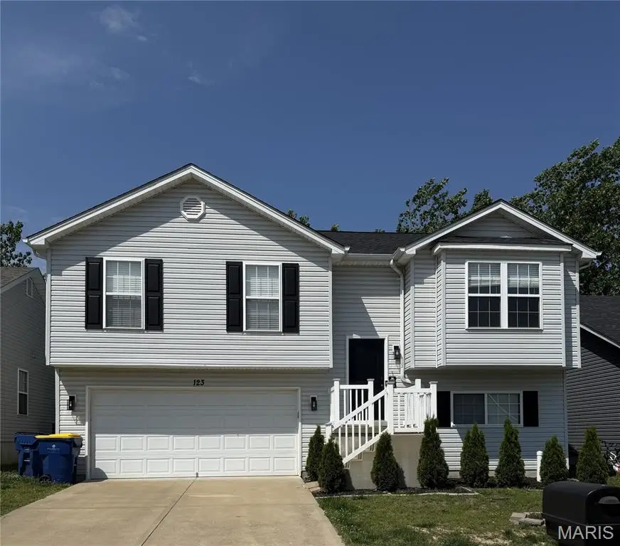 123 Doctrine Drive, Festus, MO 63028 - #1