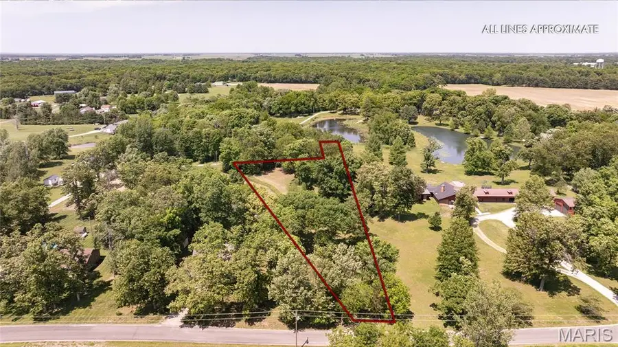 0 Gun Club Road, Brighton, IL 62012 - #2