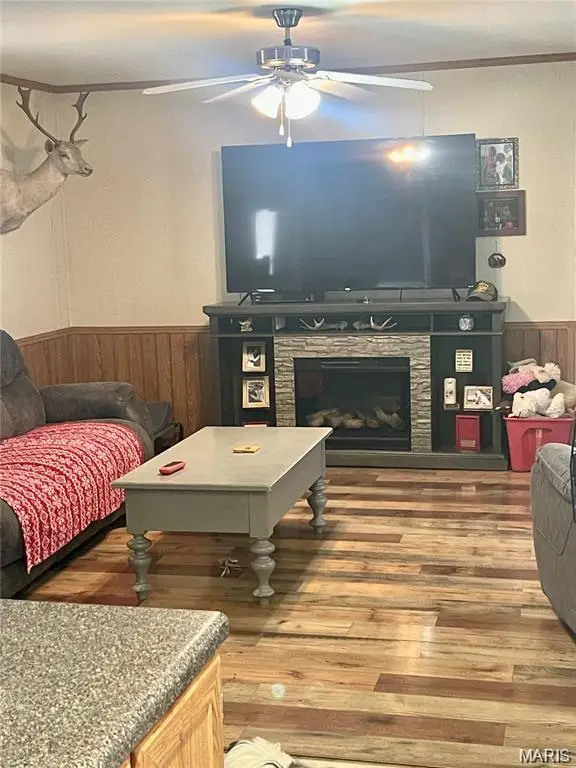 2225 Us Highway 160, Doniphan, MO 63935 - #2