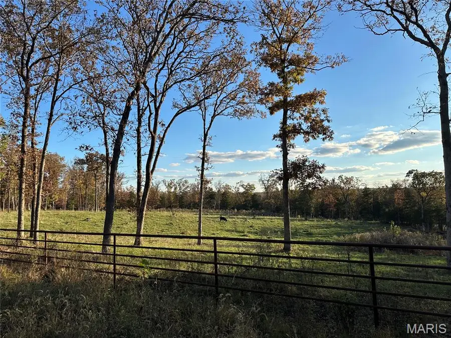 1867 Hecker Road, Owensville, MO 65066 - #2