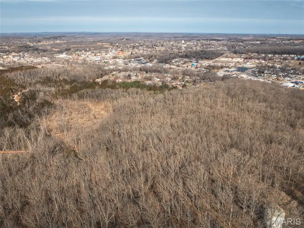 3 Mill Street, Potosi, MO 63664 - #1