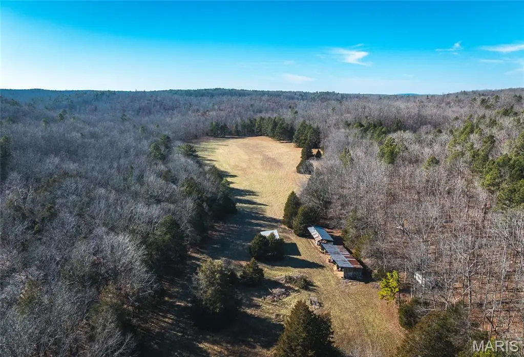 001 Wayne 224a, Silva, MO 63944 - #1