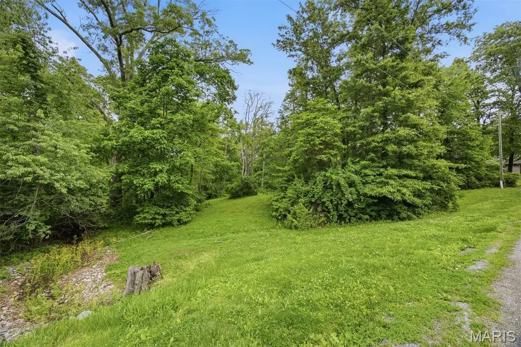 XXX Joseph Drive, Pocahontas, IL 62275 - #1