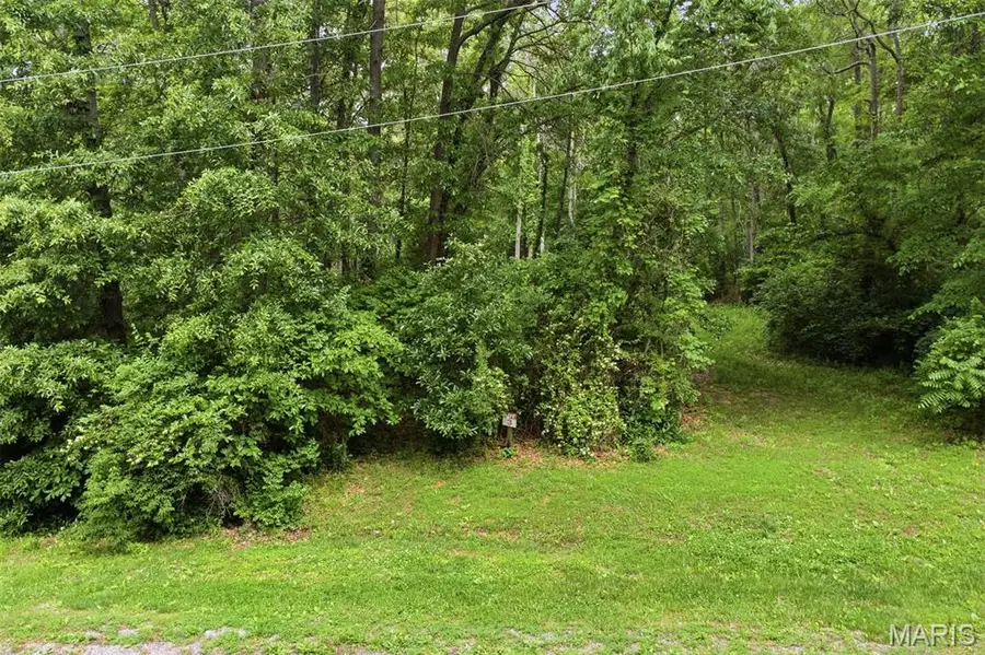 XXX Joseph Drive, Pocahontas, IL 62275 - #2