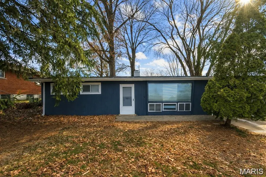 1132 Lakeview Avenue, Saint Louis, MO 63138 - #1
