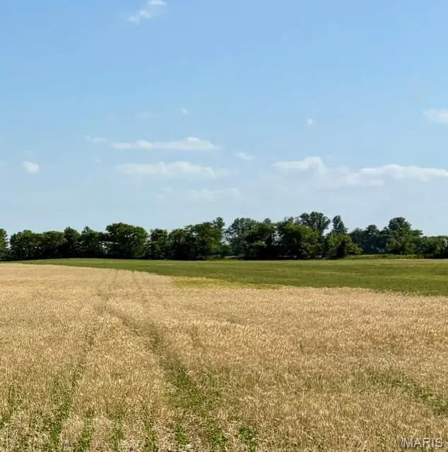 0 S Highway Bb, East Prairie, MO 63845 - #1