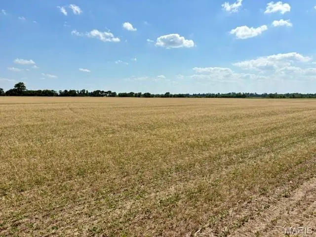 0 S Highway Bb, East Prairie, MO 63845 - #2