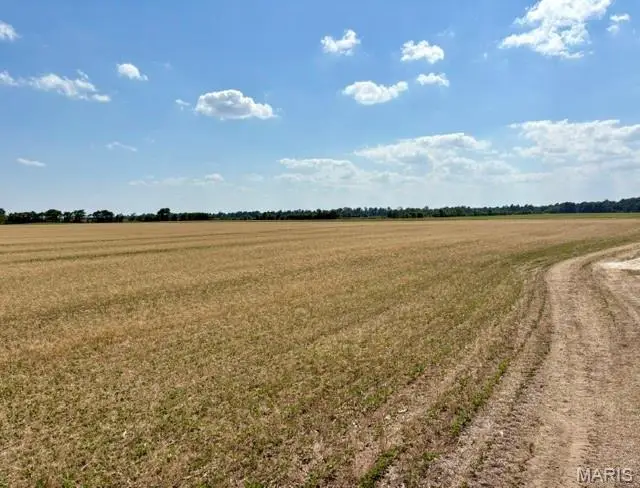 0 S Highway Bb, East Prairie, MO 63845 - #3