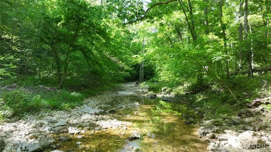 43 +/- Ac Hagedorn Lane, New Florence, MO 63363 - #3