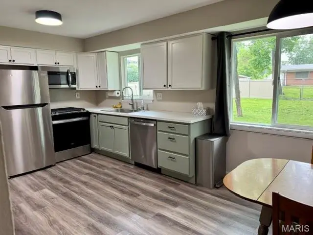 1460 Saint Louis Street, Florissant, MO 63033 - #3