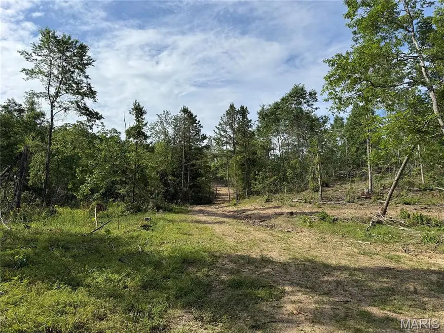 Tract 1 Hidden Valley, Union, MO 63628 - #3