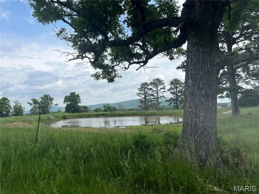 2412 County Road 53, Belleview, MO 63623 - #3