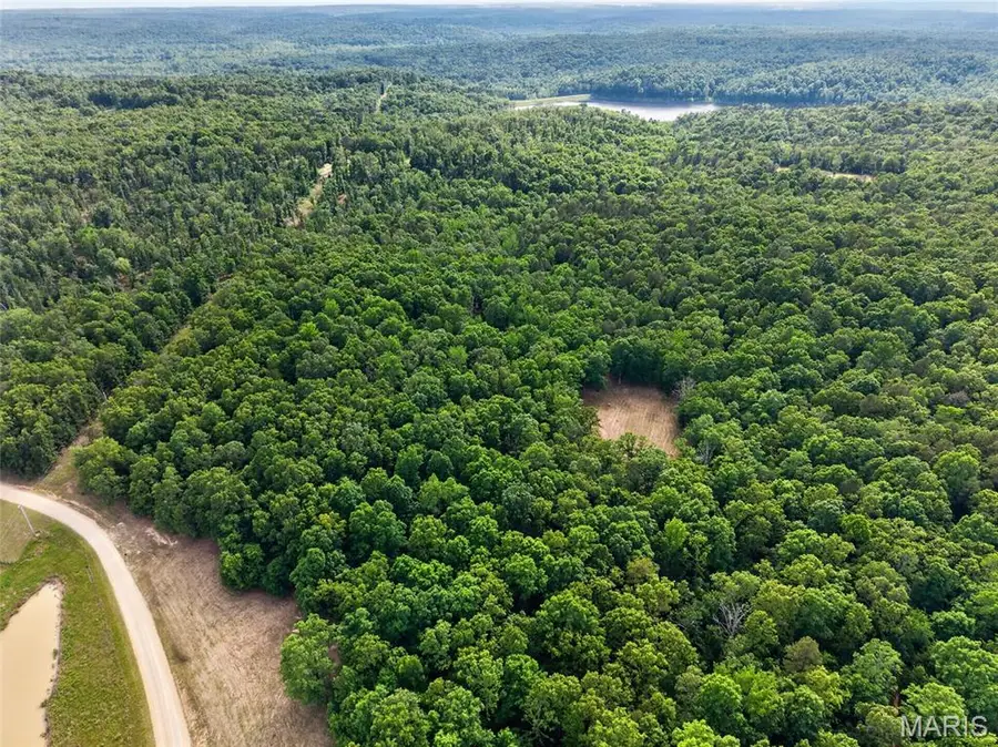 000 Bb Highway, Johnson, MO 63945 - #2