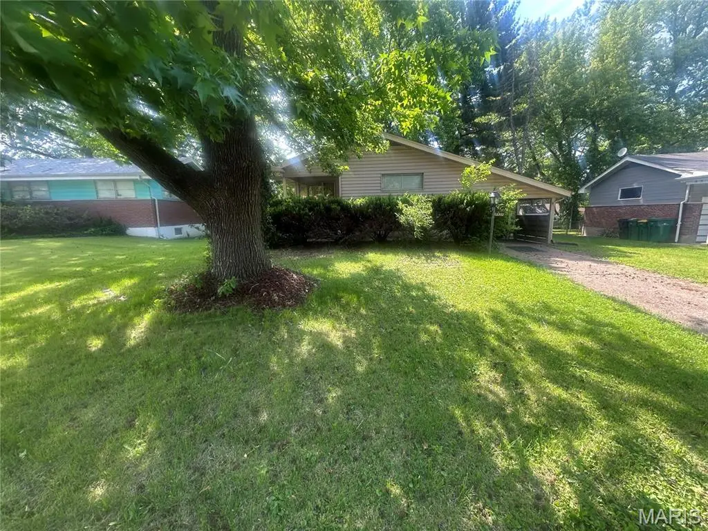 9919 Lanier Drive, Saint Louis, MO 63136 - #1