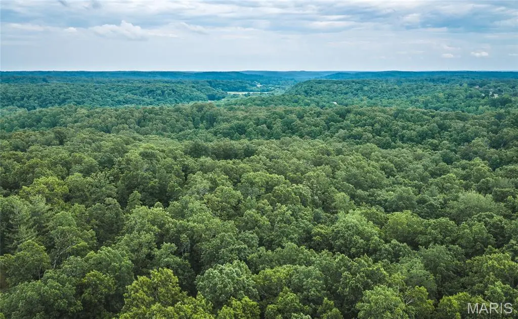 0 Tbd Hwy 51, Marble Hill, MO 63764 - #1