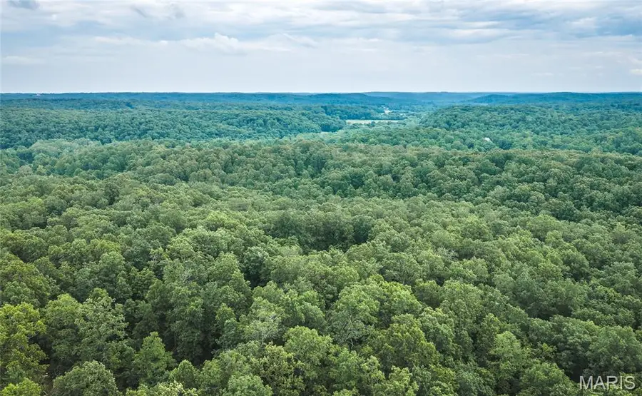 0 Tbd Hwy 51, Marble Hill, MO 63764 - #3