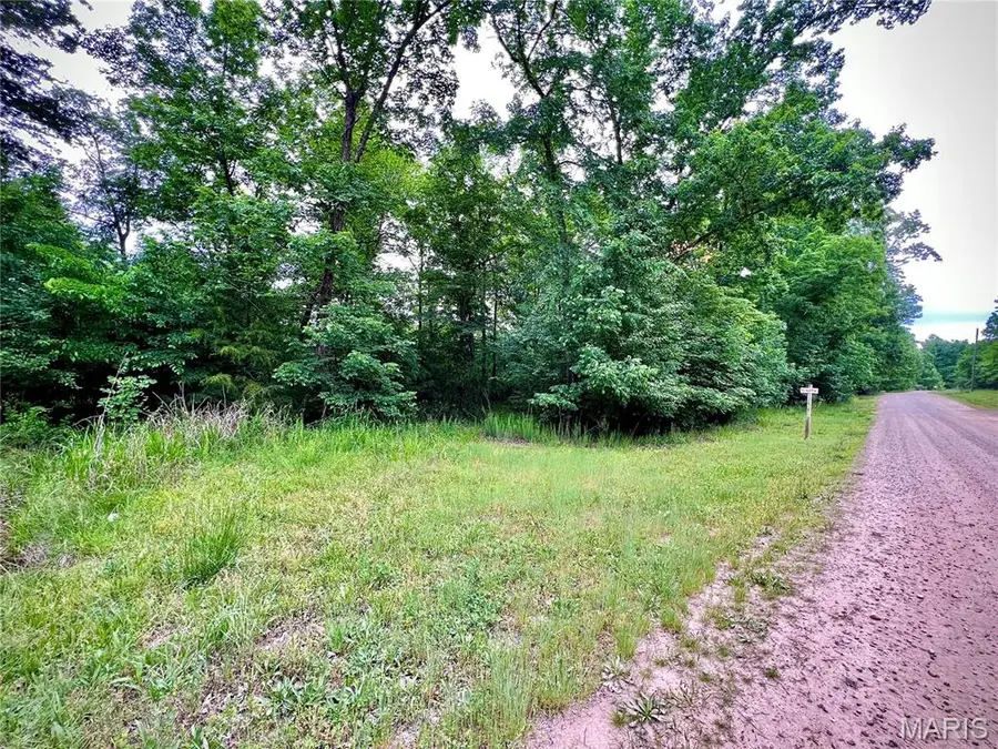 0 Canyon Club Estates, Piedmont, MO 63957 - #2