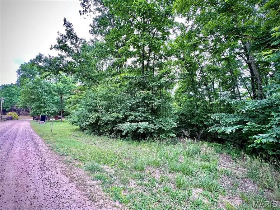 0 Canyon Club Estates, Piedmont, MO 63957 - #3