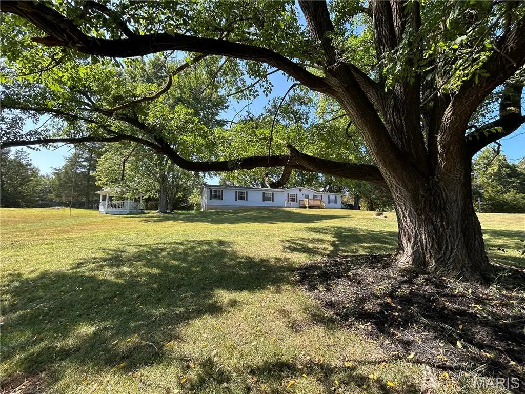 13619 Mount Olive Road, De Soto, MO 63020 - #1