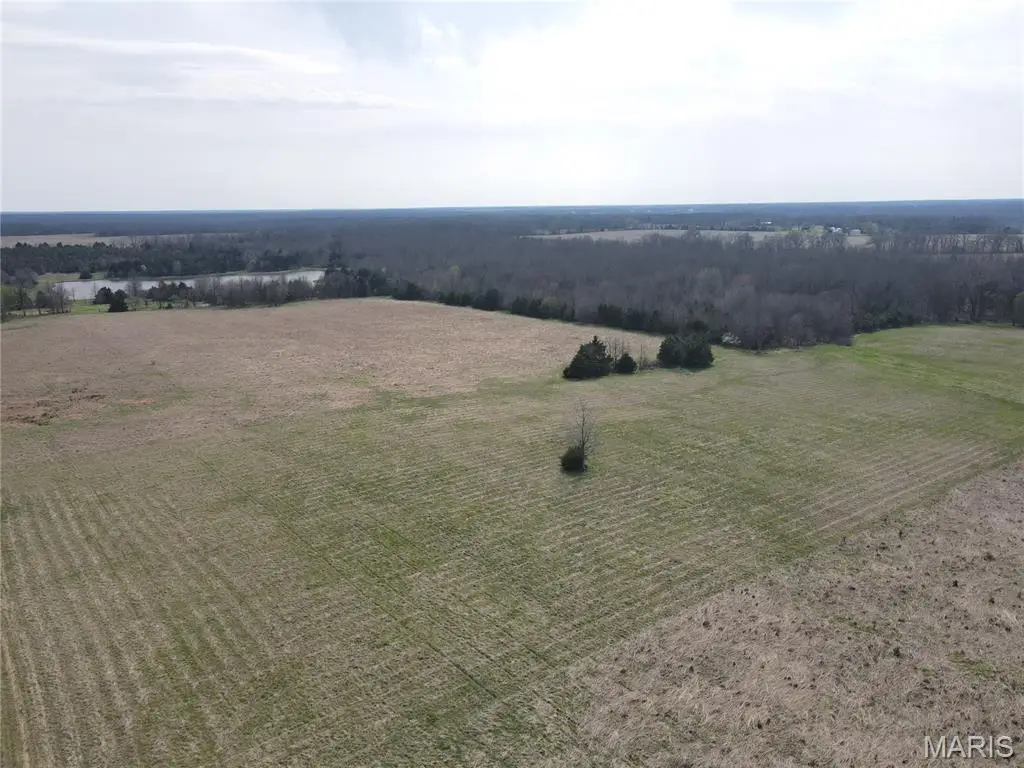 20 Route N, Monroe City, MO 63456 - #1