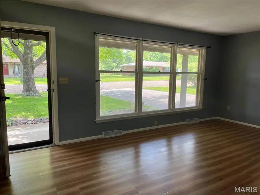 111 Fairlane Drive, Ironton, MO 63650 - #3