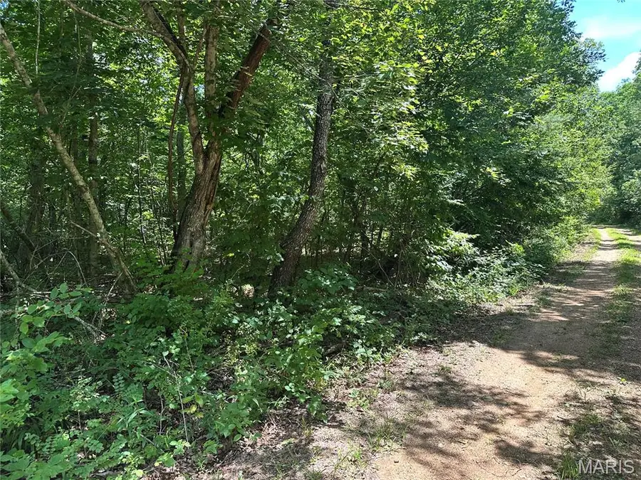 TBD Kaw Court, Annapolis, MO 63620 - #3