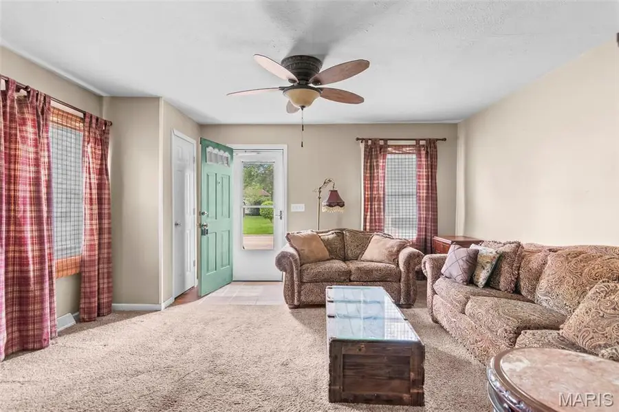 117 W Ferdon Street, Litchfield, IL 62056 - #3